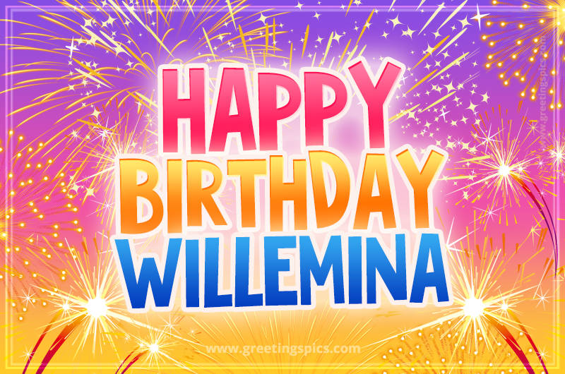 Happy Birthday Willemina Picture with fireworks