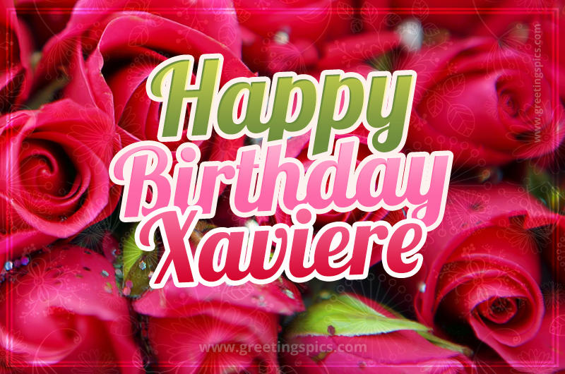 Happy Birthday Xaviere beautiful Image with red roses