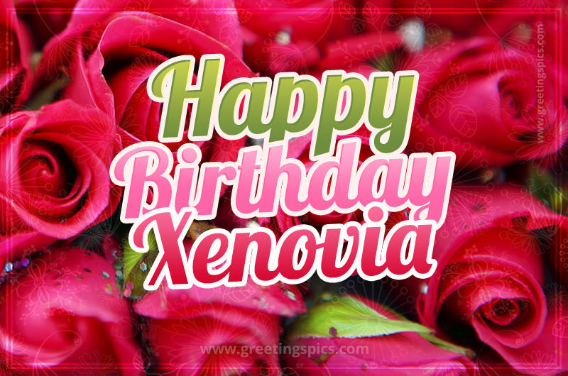 Happy Birthday Xenovia beautiful Image with red roses