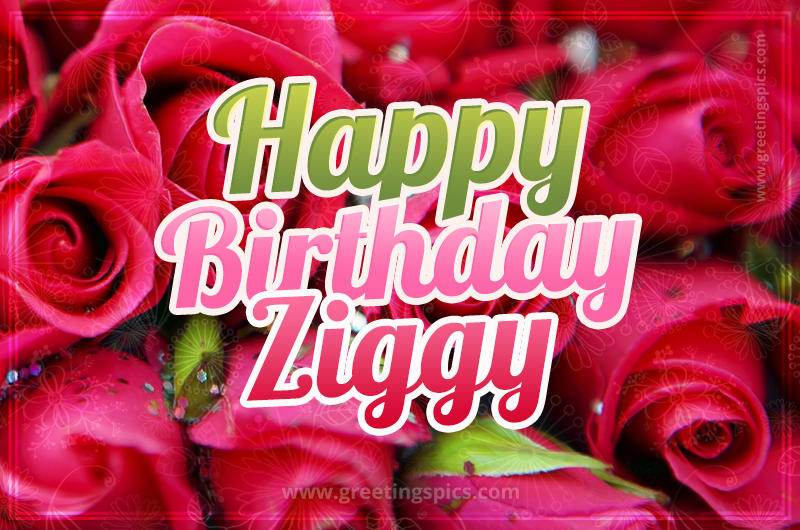 Happy Birthday Ziggy beautiful Image with red roses